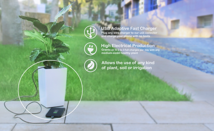 Chán với cách sạc điện thoại thông thường? Hãy sử dụng chậu cây để sạc