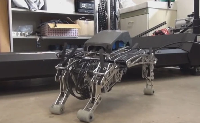Các nhà khoa học Nhật chế tạo thành công robot chó chihuahua y như thật