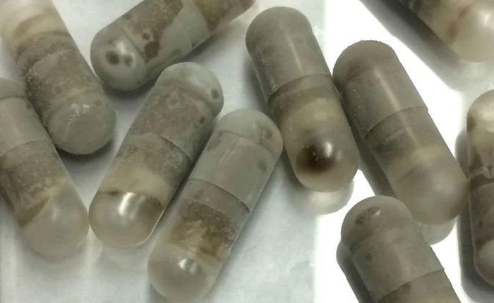 Chất thải của người gầy có thể dùng để điều chế thuốc chữa béo phì