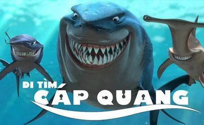 Phải làm gì trong những ngày cáp đứt, mạng chậm như rùa?