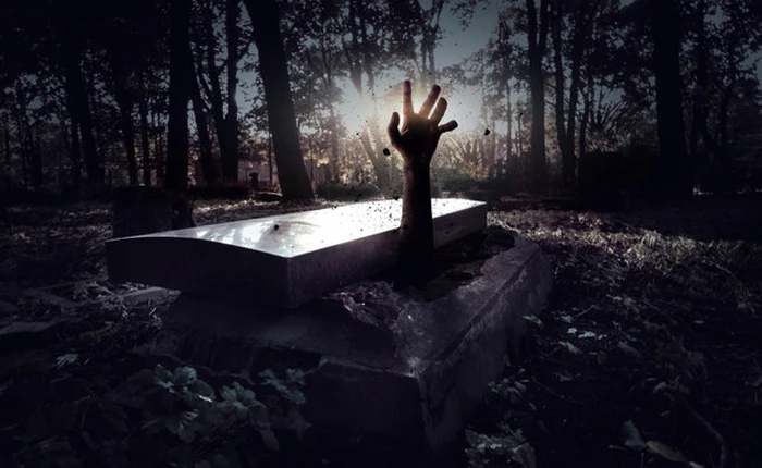 Tại sao KickassTorrent có thể hồi sinh nhanh đến như vậy?