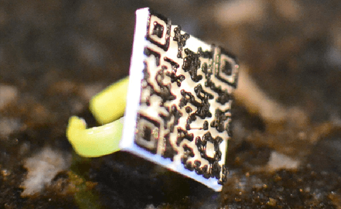 Không phải kim cương, nhẫn Bitcoin mới là vĩnh cửu