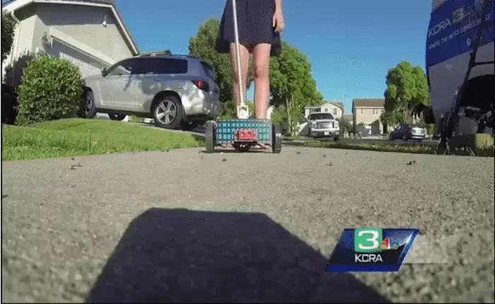 Sáng chế đạt giải nhất "Captain America: Civil War" của cô gái 16 tuổi khiến chó dẫn đường mất việc