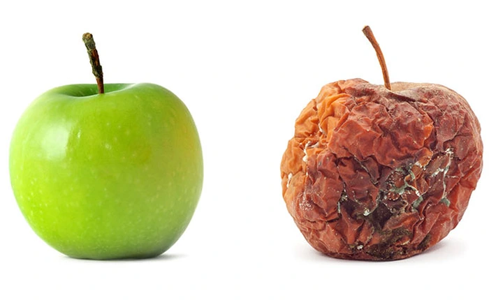 Không phải thuốc trừ sâu hay hóa chất, đây mới là công nghệ giúp hoa quả tươi ngon tuyệt vời nhất