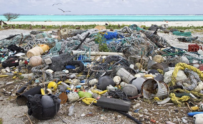 Đại dương chứa nhiều rác nhựa hơn cá vào năm 2050