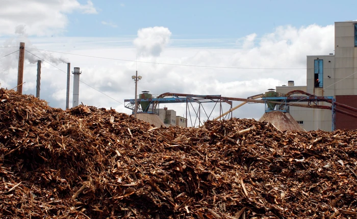 Bill Gates vừa đầu tư 14 triệu USD vào công nghệ biến mạt gỗ thành xăng