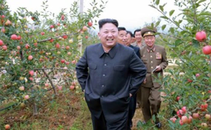 Diện mạo Internet chưa đầy 30 trang web của Triều Tiên