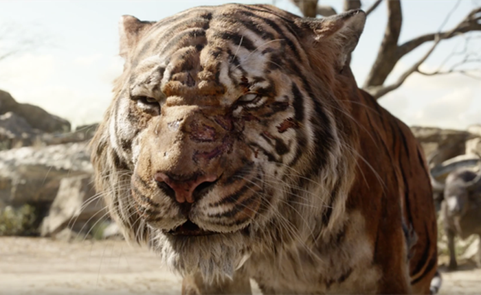 “Con hổ” Samsung đang nhăm nhe rời bỏ “khu rừng” Android