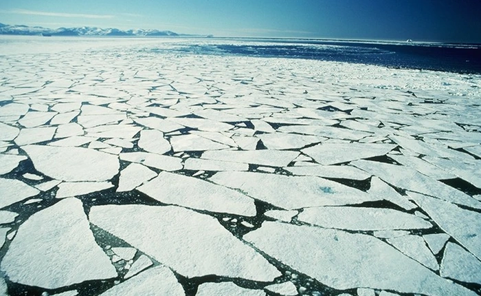 Nếu băng ở Nam Cực tan hết, thế giới có chìm trong biển nước không?