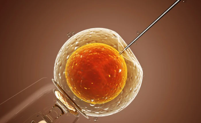 Chính phủ Anh cho phép thử nghiệm kỹ thuật biến đổi gen trên phôi thai người