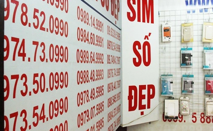 Sim 'siêu đẹp' 9 con 8 sẽ được đấu giá