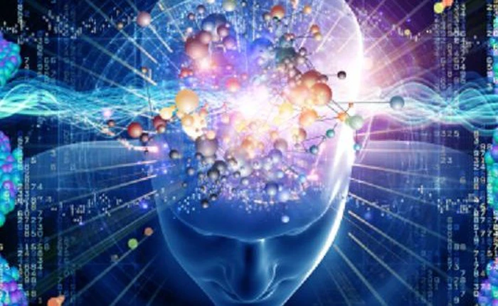 Nhà khoa học Mỹ công bố bằng chứng cho thấy chúng ta có giác quan thứ 6 và nó thật đáng kinh ngạc