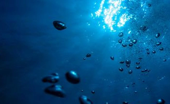 Có thể bạn chưa nhận ra Đại dương của chúng ta cũng cần oxy và chúng đang chết dần