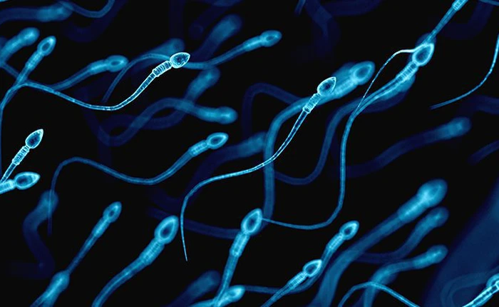 Đã có thể kiểm tra chất lượng tinh trùng đàn ông bằng smartphone