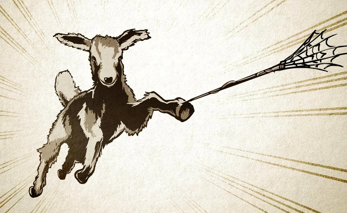 Người ta đã tạo ra dê lai nhện, vừa cho sữa vừa cho tơ