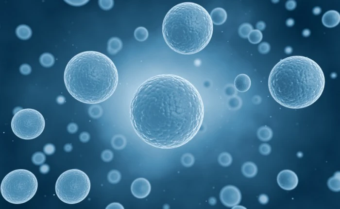 Vũ khí mới đầy tiềm năng trong điều trị tiểu đường type 1