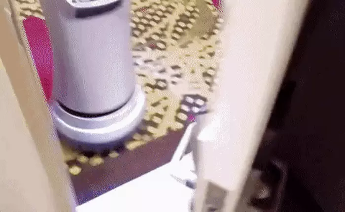 Xem con robot phục vụ phòng cực kỳ dễ thương hứa hẹn sẽ "thay chân" nhân viên khách sạn trong tương lai gần