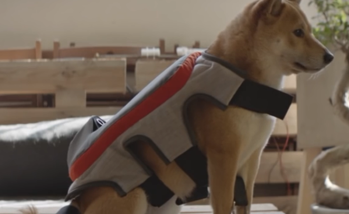 Thiết bị tuyệt vời dành cho người vừa thích chụp ảnh vừa yêu chó đây rồi