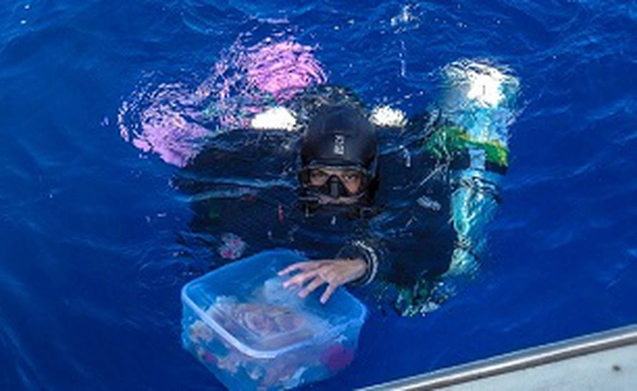 Tìm thấy hài cốt 2.100 năm tuổi tại khu vực khảo cổ dưới đáy biển Antikythera nổi tiếng