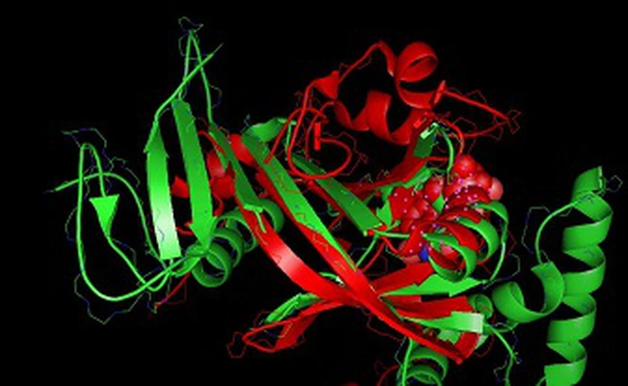 Game thủ đánh bại các nhà khoa học trong trò chơi xác định chuỗi protein