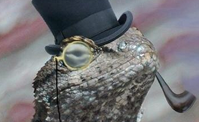 Hai thanh niên 19 tuổi tấn công máy chủ World of WarCraft và LMHT đã bị bắt