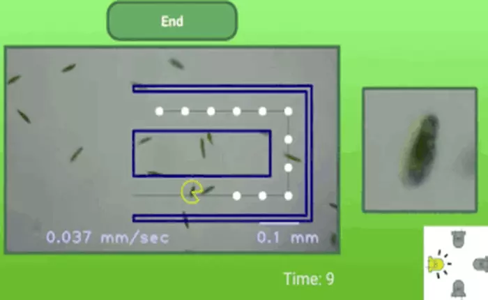 Quên Candy Crush đi, bạn có thể chơi điện tử với vi khuẩn thực trên hệ thống này