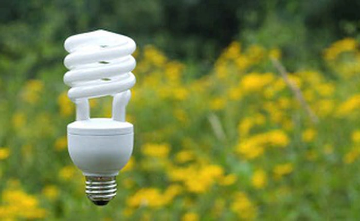 Bóng đèn tiết kiệm điện là an toàn, đừng lo ngại khi nghe thấy những lời bàn tán trên mạng rằng chúng gây ung thư
