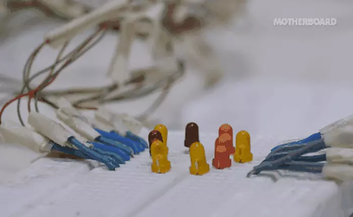 Đây đúng là một con bọ sống nhưng nó sẽ phải nghe lời bạn vì não bộ nó giờ đã là máy móc