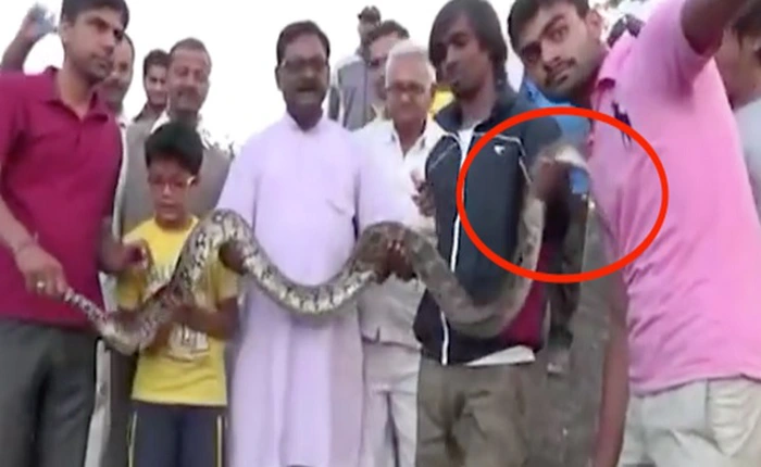 Anh chàng này đã được một bài học nhớ đời khi cố gắng selfie cùng... 1 con trăn