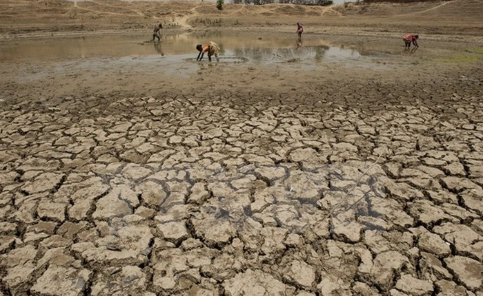 Nhiệt độ trong nửa đầu năm 2016 nóng nhất trong hơn 1 thế kỷ qua