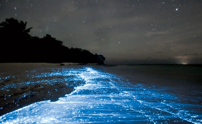 Ghé thăm 5 địa danh với những hiện tượng thiên nhiên kỳ thú nhất trên thế giới