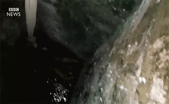 Giải cứu du khách Úc vì mải selfie bị rơi xuống giếng sâu chục mét