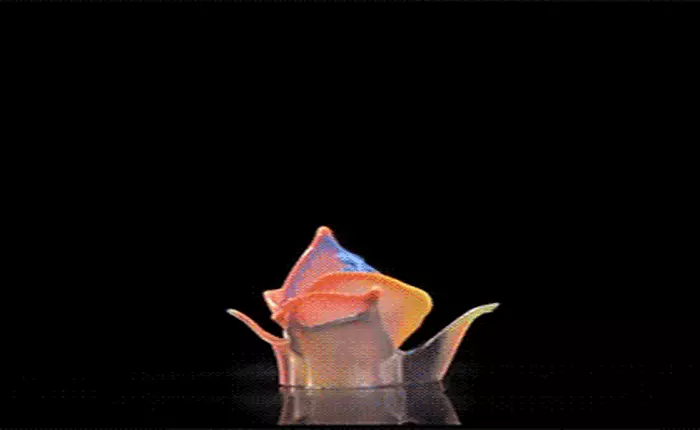 Hãy xem cách nhà khoa học chụp ảnh lại... âm thanh