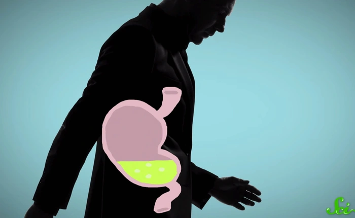 Uống nhiều thuốc kháng sinh có thể khiến bạn ăn bánh mỳ cũng bị say xỉn