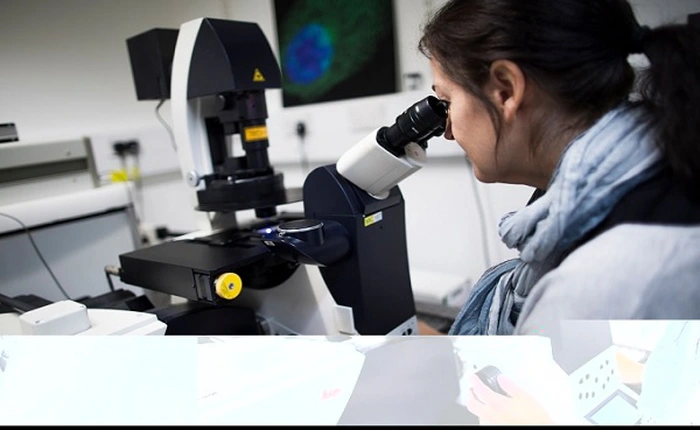 Phát hiện mới có thể sử dụng tia cực tím để chữa ung thư một cách an toàn