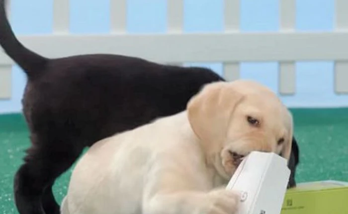 Màn mở hộp LG G5 có một không hai trên thế giới