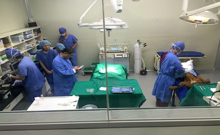 Máy phẫu thuật bị ngừng hoạt động do... trình diệt virus