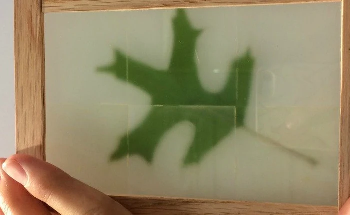 Chế tạo thành công vật liệu kính siêu bền, nhưng lại được làm từ gỗ