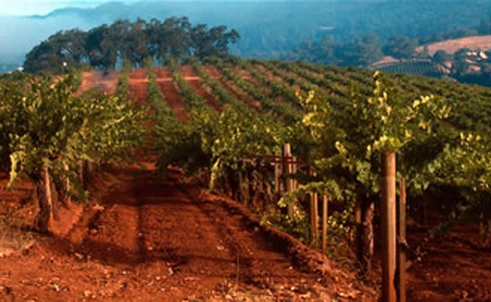 Canh tác khô – một hướng đi cho nông nghiệp nhằm ứng phó biến đổi khí hậu