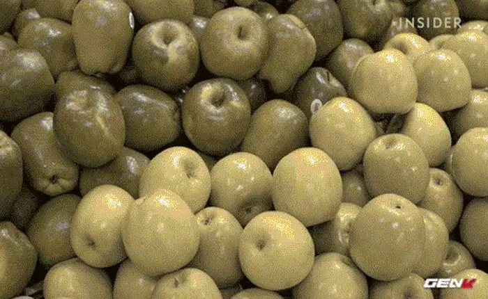 [Video] Nhờ chiếc kính này, người bị bệnh mù màu đã có thể nhìn thấy màu sắc