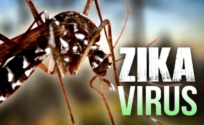 Số ca nhiễm Zika tại Singapore tăng vọt đáng lo ngại
