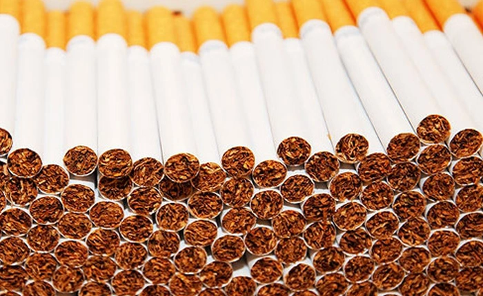 WHO: Thuốc lá giết chết 7 triệu người mỗi năm và khoảng 1 tỷ người cho đến hết thế kỷ