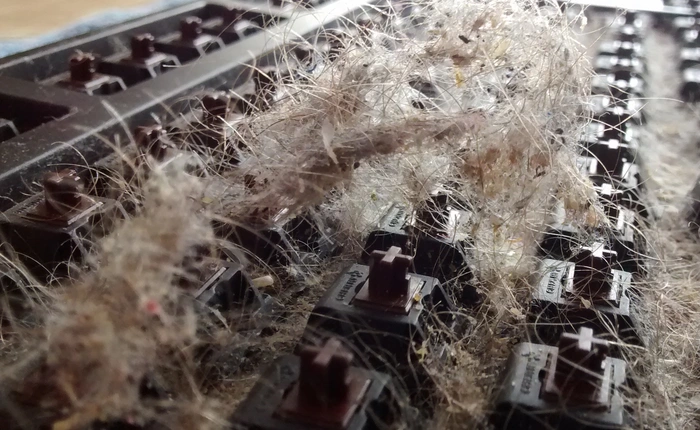 Những bức ảnh về quá trình dọn dẹp chiếc bàn phím “6 năm không tắm” này sẽ khiến bạn nổi da gà