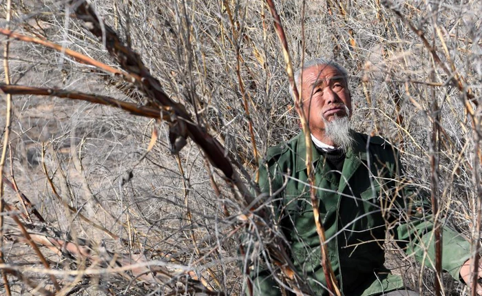 Cuộc chiến 20 năm giữa người và cát: Câu chuyện thần kỳ của lão nông 76 tuổi