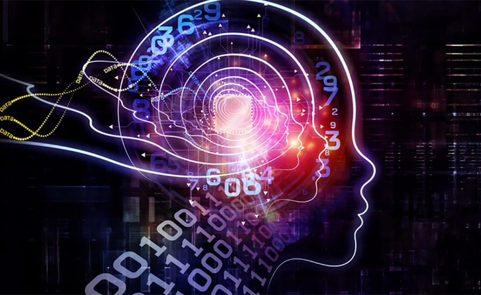 Mời xem các đoạn video hoàn toàn là giả được AI của Nvidia tạo ra, trông chân thực khó tin