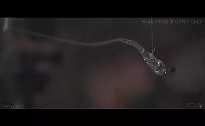 Cùng xem video giọt thủy tinh bị bắn nổ tung quay bằng camera 150.000 FPS cực thú vị