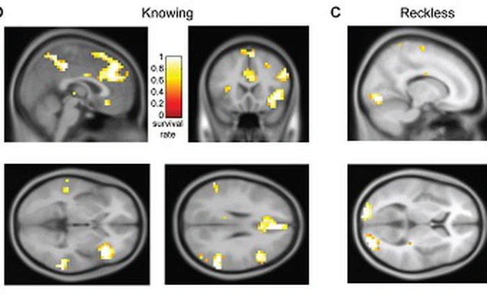 Các nhà khoa học nói rằng máy quét não có thể nhận biết được đâu là tội phạm