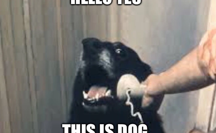 Đắng lòng thanh niên lừa đảo gọi điện thoại giả vờ nhờ sửa máy tính, không ngờ gọi trúng số cảnh sát