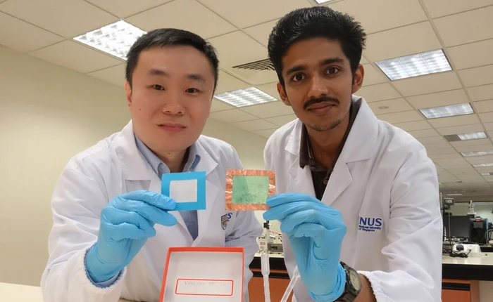 Đây là vật liệu lọc bụi của tương lai: giá thành rẻ, cho phép gió và ánh sáng lọt qua như thường