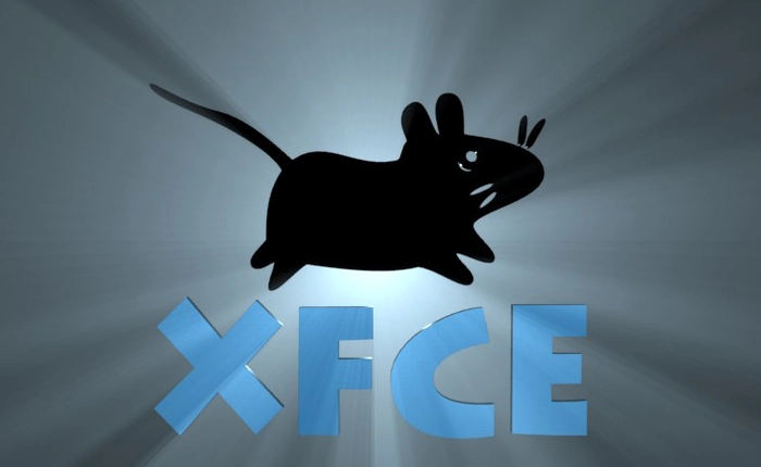 Đây chắc chắn là lỗi phần mềm buồn cười nhất năm: có thể gây hỏng màn hình cho nhà nào nuôi mèo